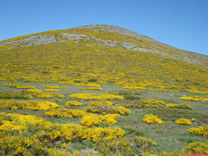 23- La Peña Negrilla, desde el Collado de Castilla.