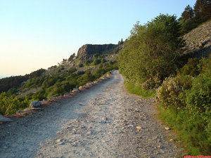 03- Por esta pista me dirigo desde Haya Seca al Santuario de Nuestra Señora del Moncayo.