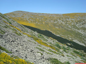 29- Tras salir del pinar, a mis espaldas quedan la Peña Negrilla y el Barranco de Castilla.