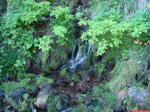 09- Fuente del Morroncillo, donde podemos coger agua todo el año.