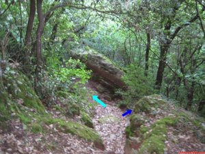 FOTO 3:

Cal estar atent a trobar aquesta roca en baixar pel vessant nord de la canal del Séc, doncs marca la cruïlla on hem de girar a l esquerra (blau cel) per anar cap als Cortins. A la dreta porta al Montcau (blau marí). /

/ Debemos estar atentos a encontrar esta roca en descender por la vertiente norte de la canal del Sec, pues indica el cruce donde debemos girar a la izquierda (azul cielo) para ir hacia los Cortins. A la derecha lleva al Montcau (azul marino).