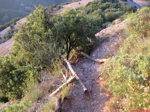 FOTO 6:

Sortida de la canal que puja als Cortins. Fàcil però exposat (F+). /

/ Salida de la canal que sube a los Cortins. Fácil pero expuesto (F+).