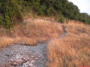 FOTO 8: En aquest tram el sender no té pérdua. En breu tornará a entrar al bosc. / / En este tramo el sendero no tiene pérdida. En breve volverá a entrar en el bosque.