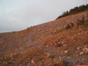 FOTO 11: Un cop superat l anterior ressalt, girem a mà dreta i flanquejem el cim del Montcau en direcció Est fin son es veu a la foto, on haurem d anar amb compte a localitzar el sender que puja al cim en direcció Sud. Intenteu seguir el camí o al final no hi quedará vegetació per l'erosió. / / Una vez superado el anterior resalte, giramos a mano derecha y flanqueamos la cumbre del Montcau en dirección Este hasta donde se ve en la foto, donde deberemos ir con cuidado a localizar el sendero que sube a la cumbre en dirección Sur. Intentad seguir el camino o al final no quedará vegetación por la erosión.