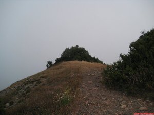 FOTO 15: Cim del Montcau darrera els arbres del fons, ens trobem a l extrem Nord del cim. / / Cumbre del Montcau detrás de los árboles del fondo, nos encontramos en el esxtremo Norte de la cumbre.