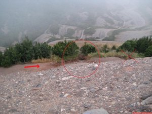 FOTO 18: Camí ràpid per tornar al cotxe, el cercle vermell indica per on heu de baixar, més a la dreta porta a un barranc. El camí també està marcat amb estaques metàliques verdes. Vegeu descripció del DESCENS. / / Camino rápido para regresar al coche, el círculo rojo indica por donde tenéis que bajar, más a la derecha lleva a un barranco. El camino también está marcado con estacas metálicas verdes. Ved descripción del DESCENSO.