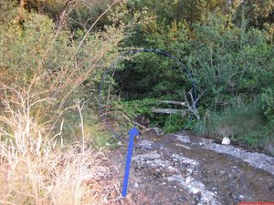 FOTO 6: Seguint el petit sender entrem en aquesta canal amb compte a no relliscar i seguim el sender per dins del bosc. / / Siguiendo el pequeño sendero entramos en esta canal con cuidado a no resbalar y seguimos el sendero por dentro del bosque.