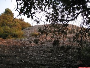 FOTO 7: Seguint per dins del bosc acabem sortint davant d aquest ressalt, que podem pujar de cara (I+, F+) o bé pujar tant com poguem per l esquerra abans d entrar a la placa (I, F). Dalt del ressalt seguim el sender una altra vegada. / / Siguiendo por dentro del bosque acabamos saliendo delate de este resalte, que podemos subir de cara (I+, F+) o bien subir tanto como podamos por la izquierda antes de meternos en la placa (I, F). Arriba del resalte seguimos por el sendero otra vez.