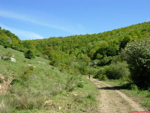 1.-Llegando al bosque de roble y haya.