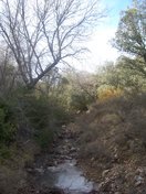 Llegamos a un punto donde el barranco empieza a correr agua. El sonido del liquido elemento alegra nuestros pasos pero en verano la sequedad se apoderará de estas sierras. 