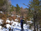 Entramos en el primer bosque de pinos y caxicos (12h:35m)