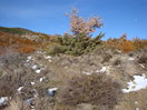 Nada que ver con esta mañana. Mojón donde empieza el ascenso (16h:50m)