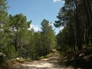 Pero no por ello logré evitar lo que no pretendía, que fue desembocar en una pista de tierra que transcurre también a media ladera de esa vertiente más arriba, a eso de los 1.100 metros de altitud. Esperaba seguir un camino que los mapas indican con menor cota. Una vez aquí, seguí deportivamente hacia la izquierda (NE, en general). Eso sí, una ventaja es que en este tramo de pista se pasa junto a una fuente.