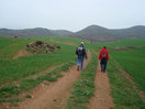 06- Con el Cabezo del Gato al frente y tras dejar atras la paridera de García, continuamos entre verdes sembrados.