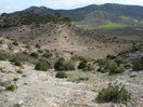 24- Con el Cabezo del Rocín al fondo, descendemos hacia el visible collado, donde giraremos a la izquierda.