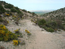 25- Ahora por la visible senda, enseguida alcanzaremos la entrada de la Cueva del Gato, conectando así, con el itinerario de subida.