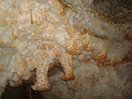 65- Formaciones coralinas, forran parte de las paredes de la galería.