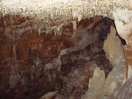 23- Otra de pequeñas estalactitas, que decoran el techo de la cavidad.