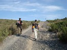 07- Tras dejar atras las proximidades de las cuevas de la Sima y del Muerto, en fuerte pendiente, nos aproximamos al Alto de la Perdiz.