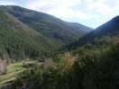 Tenemos que entrar por el valle del fondo, rodeados por el bosque de pinos.