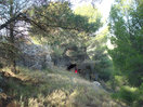 14- Al frente y al fondo, aparece la entrada de la cueva.