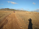 04- Mientras un rebaño de ovejas comienza su jornada de pasto, nosotros avanzamos con vistas hacia El Ollero y el Cabezo del Rocín.