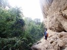 Tras la sala el barranco vuelve a abrirse y gana vegetacion. Progresamos por el margen derecho