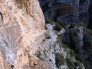 Paso Len. Paso lento equipado con sirga y mucho ambiente