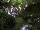 El senderito cruza el río, vista desde la entrada hacia el comienzo. El primer salto está casi a la vista.