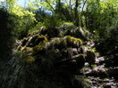 Formaciones de roca y vegetación en los laterales del barranco de la Ollaza.