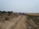 04- Tras abandonar la pista que se dirige al Santuario de Rodanas, avanzamos entre olivares y campos de cereal.