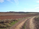 11- Entre campos de labor, y con vistas a la izquierda del altozano donde se encuentra el vértice Cuesta Roya, sigo avanzando.
