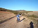 12- Entre campos de labor y dispersas carrascas, seguimos adelante.