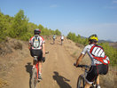 14- Entre pinos de escaso porte, vamos bordeando el Pico del Águila.