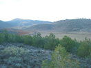 15- Justo por encima de los pinos, se observa la pista por la que hemos alcanzado el Collado del Carbón. Al fondo, el Pico Orchi.