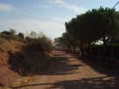 18- Descenso, entre la urbanización del santuario de Rodanas.