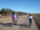 20- Entre olivos y campos de labor, seguimos pedaleando.