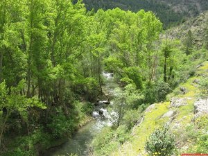 VISTA DEL RÍO DESDE LO ALTO DEL SENDERO