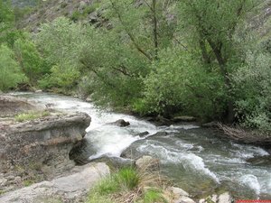 EL  RÍO  LINARES