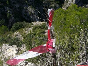 Cintas de obra en los árboles nos ayudarán a seguir el camino