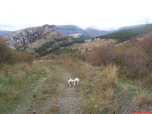 Vistas desde el Collado Sancho hacia la vertiente de Cuartún. Podemos observar los cantiles de las muelas calizas de Purujosa, el collado de Barrevinosos en primer término y el de Parapuercos en segundo mientras que la Sierra del Tablado, que debería cerrar el horizonte, la tapan las nieblas. 