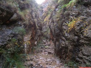 Continúan los tramos angostos.