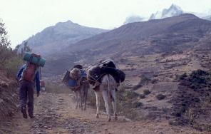 Camino del Campo Base de Ishinca